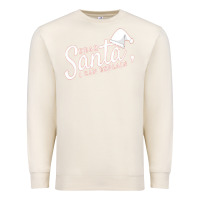 Sandshell Dear Santa I Can Explain Premium Sweatshirt - artisFamous