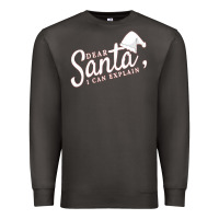 Smoke Dear Santa I Can Explain Premium Sweatshirt - artisFamous