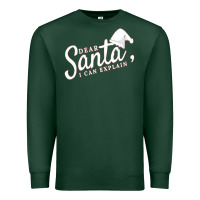 Sports Green Dear Santa I Can Explain Premium Sweatshirt - artisFamous