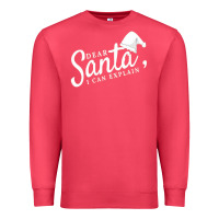 Cardinal Dear Santa I Can Explain Premium Sweatshirt - artisFamous