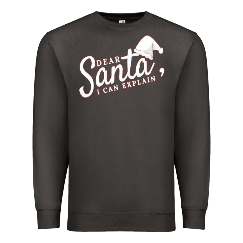Dear Santa I Can Explain Premium Sweatshirt by artisFamous | Teevron