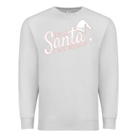 Dove Grey Dear Santa I Can Explain Premium Sweatshirt - artisFamous