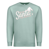 Seafoam Dear Santa I Can Explain Premium Sweatshirt - artisFamous