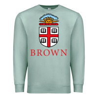Seafoam brown university Premium Sweatshirt - artisFamous