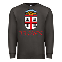 Smoke brown university Premium Sweatshirt - artisFamous