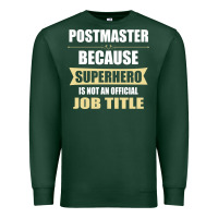 Sports Green gift for superhero postmaster Premium Sweatshirt - artisFamous