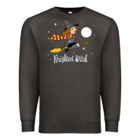Smoke brightest witch Premium Sweatshirt - artisFamous