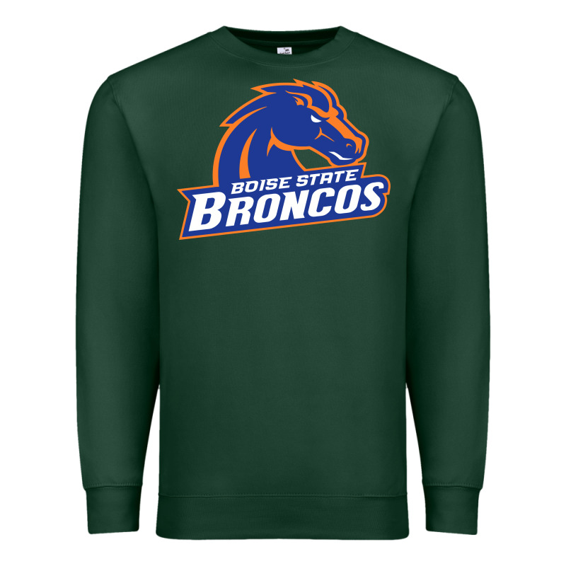 Boise Design Premium Sweatshirt by artisFamous | Teevron