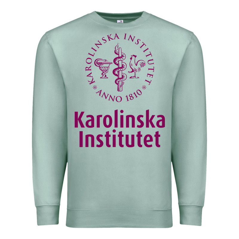 Karolinska Institute Premium Sweatshirt by artisFamous | Teevron