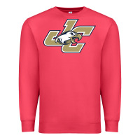 Cardinal juniata college Premium Sweatshirt - artisFamous