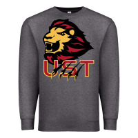Charcoal Heather university of saint thomas spirit Premium Sweatshirt - artisFamous