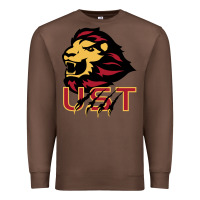 Chestnut university of saint thomas spirit Premium Sweatshirt - artisFamous