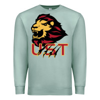 Seafoam university of saint thomas spirit Premium Sweatshirt - artisFamous