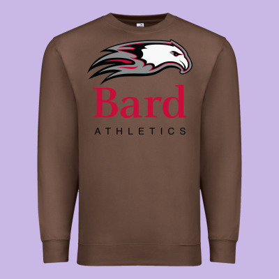 Bard College Athletics Premium Sweatshirt Designed By Artisfamous