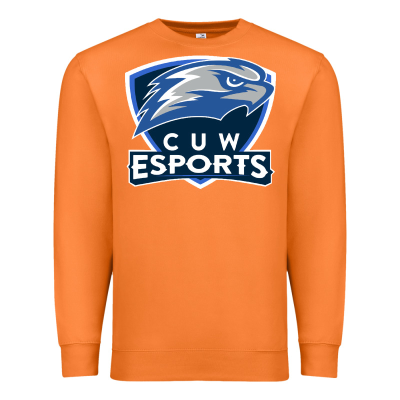 Concordia University Wisconsin Premium Sweatshirt by artisFamous | Teevron