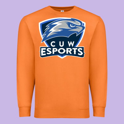 Concordia University Wisconsin Premium Sweatshirt Designed By Artisfamous
