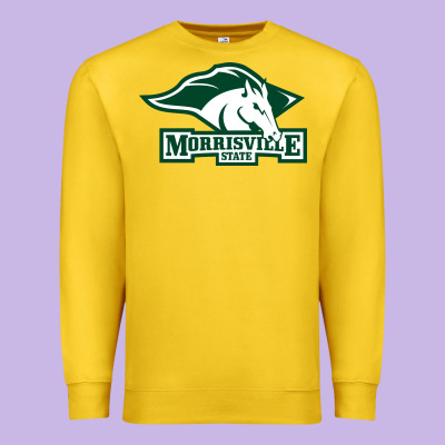 Morrisville State College Premium Sweatshirt Designed By Artisfamous