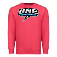 Cardinal new england university Premium Sweatshirt - artisFamous