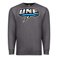 Charcoal Heather new england university Premium Sweatshirt - artisFamous