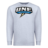 Heather Grey new england university Premium Sweatshirt - artisFamous