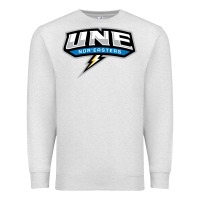 Oatmeal Heather new england university Premium Sweatshirt - artisFamous