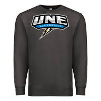 Smoke new england university Premium Sweatshirt - artisFamous
