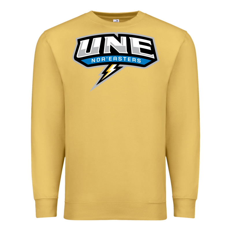 New England University Premium Sweatshirt by artisFamous | Teevron