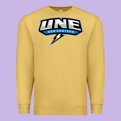New England University Premium Sweatshirt Designed By Artisfamous