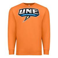 Carrot new england university Premium Sweatshirt - artisFamous