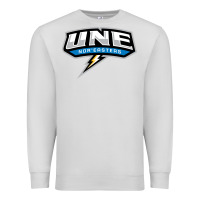 Dove Grey new england university Premium Sweatshirt - artisFamous