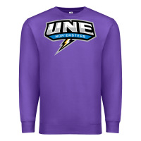 Purple new england university Premium Sweatshirt - artisFamous
