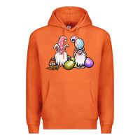 Carrot easter gnomes Premium Hoodie - Jasminsmagicworld