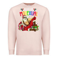 Pale Pink mens ho ho ho mosexual Premium Sweatshirt - DesigneFamous