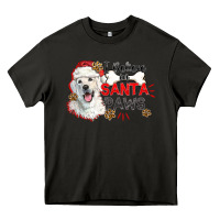 Asphalt i believe in santa paws Heavy Core Tee - CowGirlArtShop