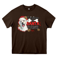 I Believe In Santa Paws Heavy Core Tee | Teevron